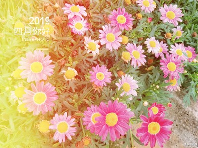 【四月你好】+莫负春光