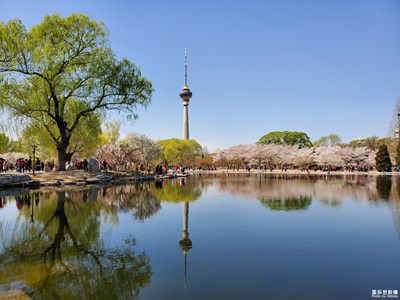 【四月你好】+玉渊潭晚樱