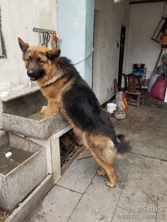 黑仔