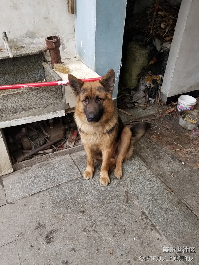 黑仔