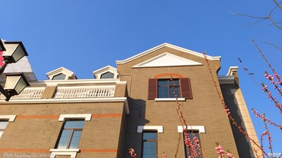 【春】+春来凤凰城