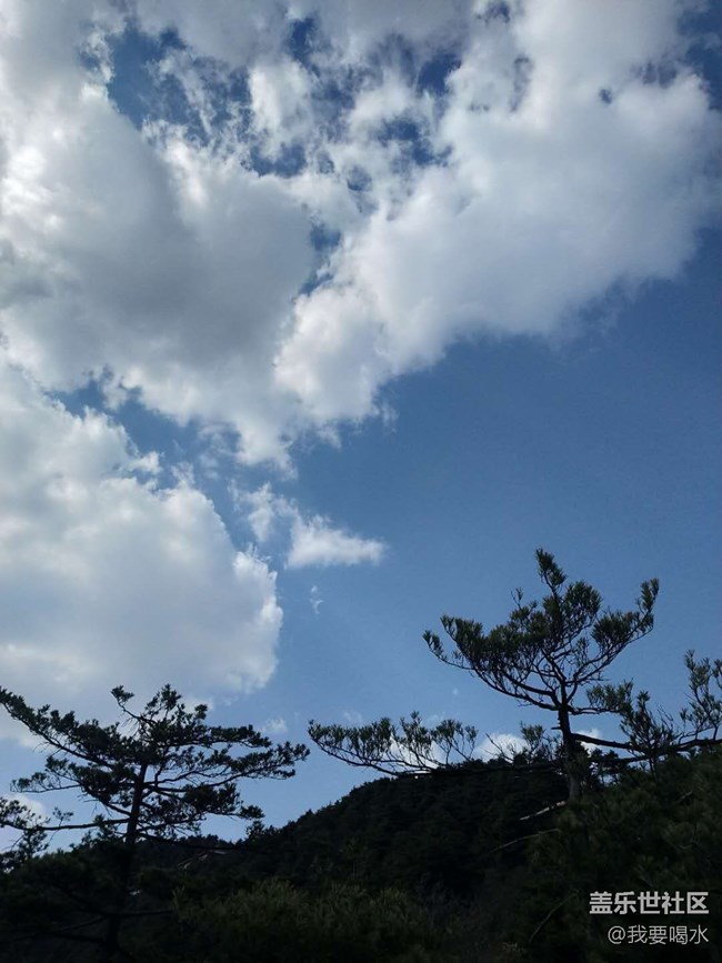 来到了陕西天竺山看看这里的风景多美啊
