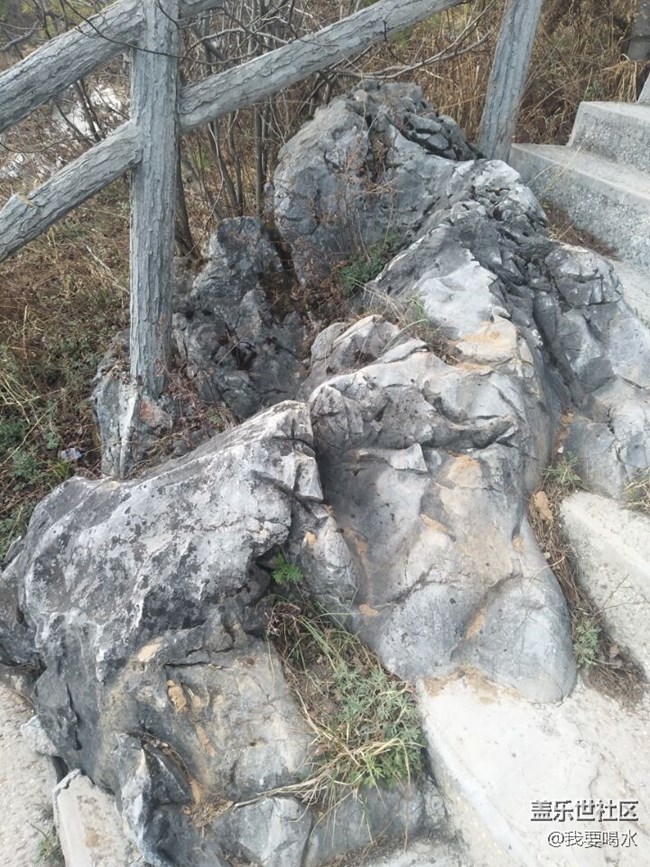 来到了陕西天竺山看看这里的风景多美啊