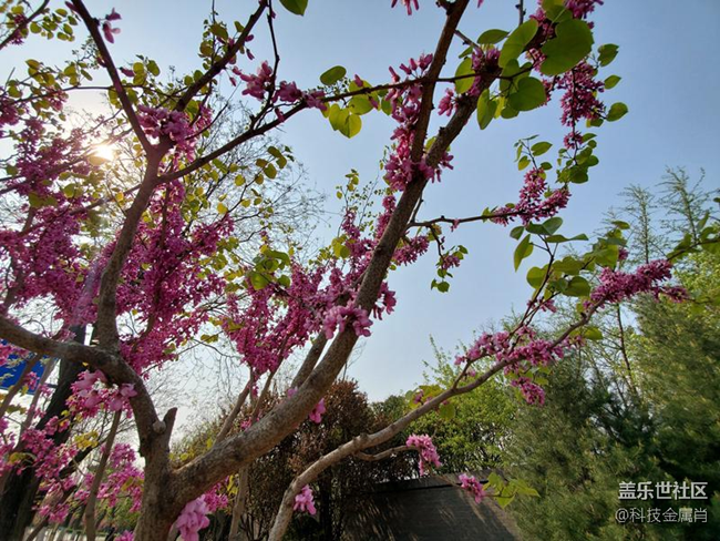 样样精通，三星 Galaxy S10+树立旗舰新标杆！