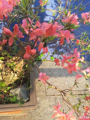 随手拍