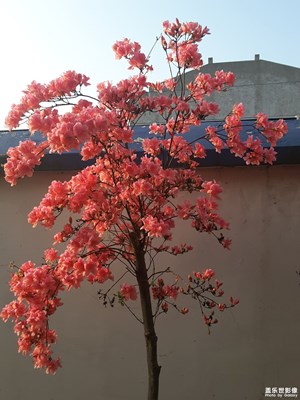 我也来一个随手拍