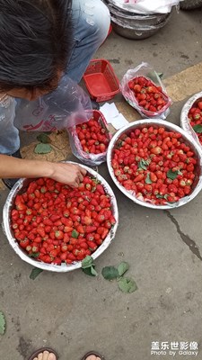 今天太阳比较好 所以出来赶集   看看都有些什么好吃的好玩的