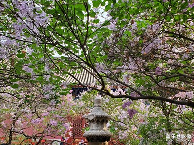 丁香国度-法源寺