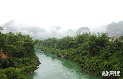 雨中随拍