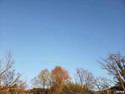 走过的路才是最美的风景