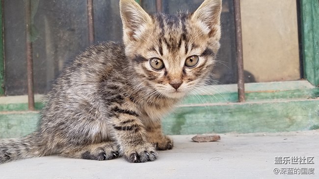 老旗舰三星S7的拍照 对比 A70如何？