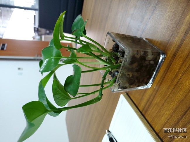 不是我说，感觉S10的拍照甩他们几条街