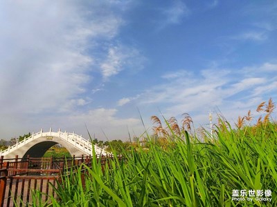小城