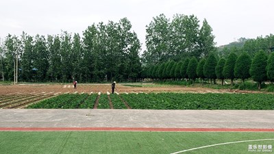 【初夏印象】在那遥远的小山村