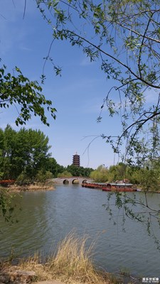 【初夏印象】+北湖湿地公园