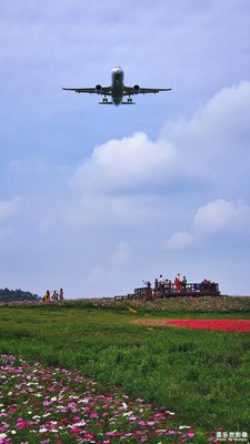 成都双流【空港花田】游