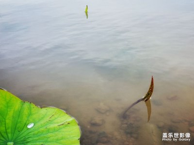 漫步湖边