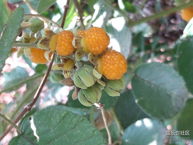 使用三个月的小感受 使用三个月的小感受