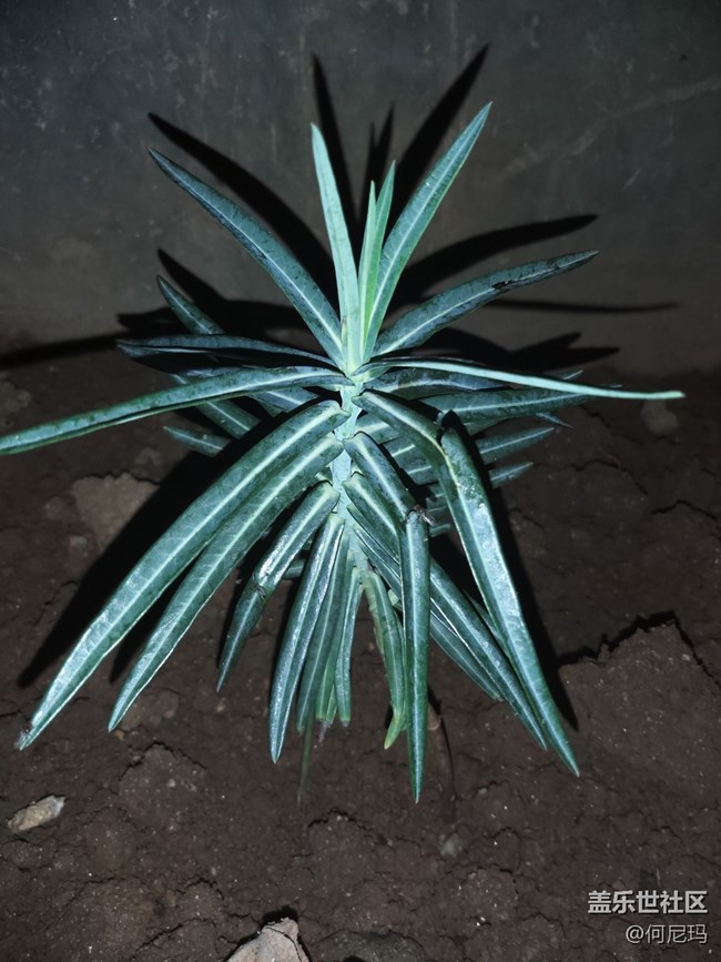 使用三个月的小感受 使用三个月的小感受