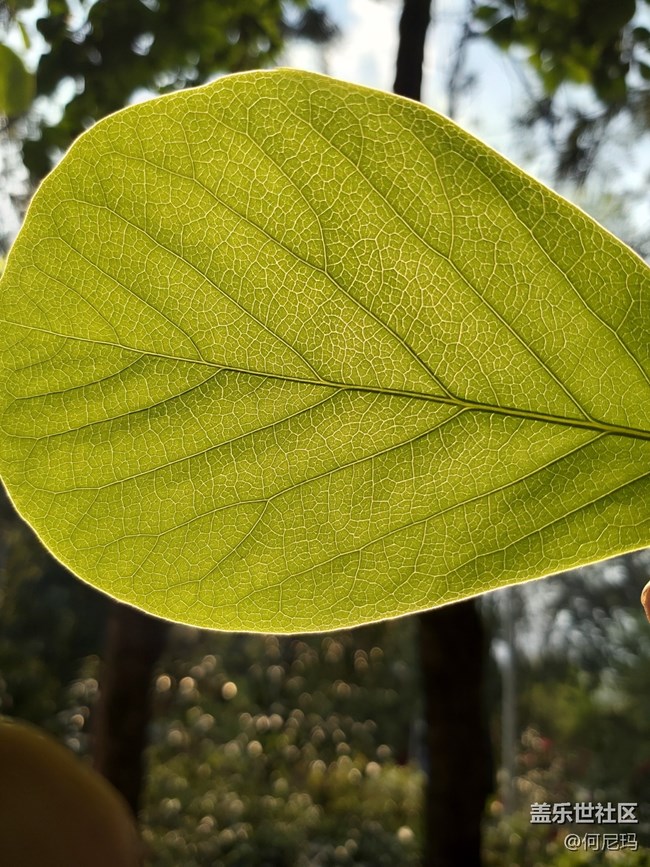 使用三个月的小感受 使用三个月的小感受