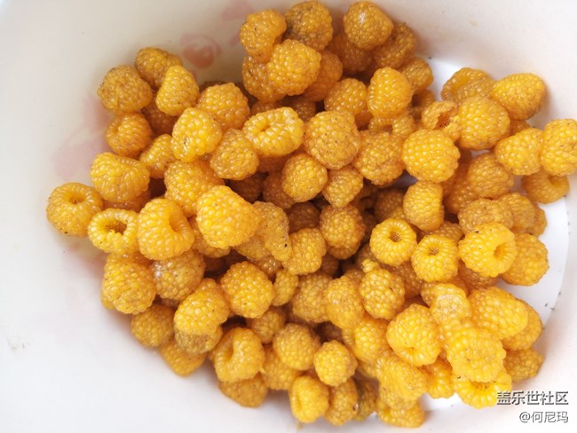 使用三个月的小感受 使用三个月的小感受