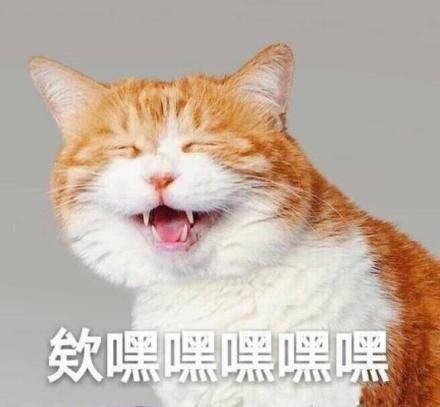 【Galaxy S10系列星粉体验活动】十代的精心准备