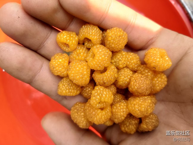 使用三个月的小感受 使用三个月的小感受