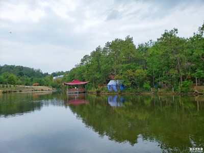 【异乡】+异乡的风景