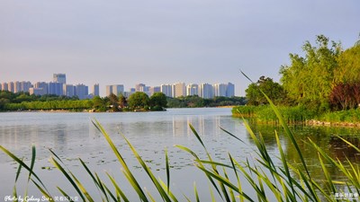 已开奖 盖乐世影像周赛第92期 ——美丽家园