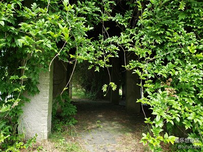【美丽家园】湖边的小凉亭