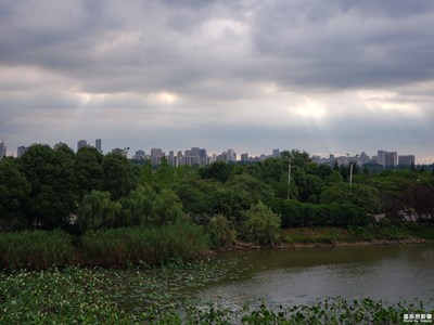【美丽家园】傍晚时分风雨欲来