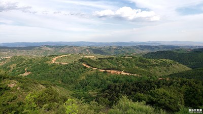 端午节随拍的一些山区的风景