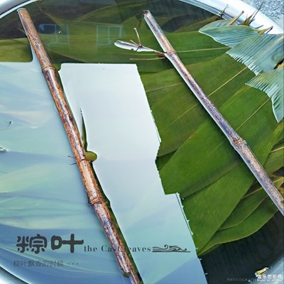 【端午风情】+包粽子