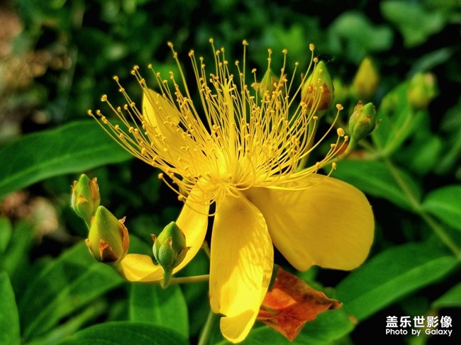 【每周精帖汇151】祝各位爸爸父亲节快乐 身体安康