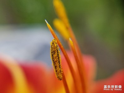一路走一路拍