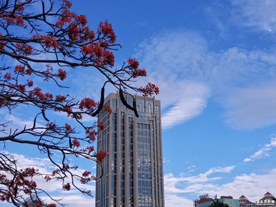 已开奖【盖乐世影像周赛第94期】——走进夏天