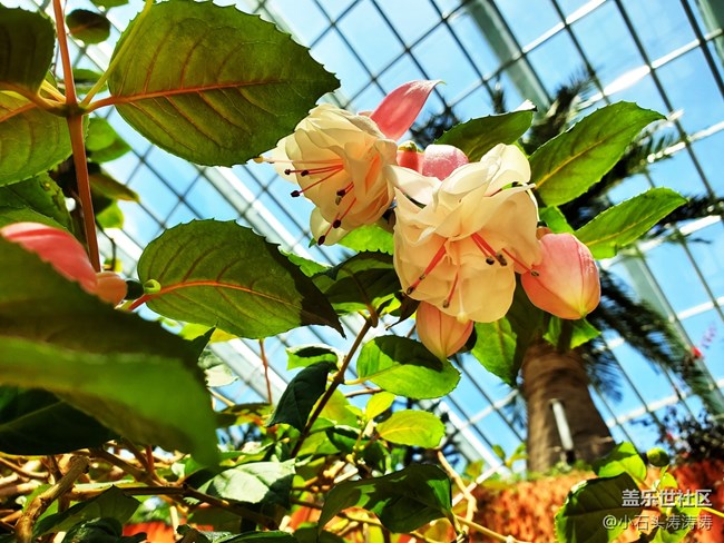 小石头与Galaxy S10的旅行日记 Day 3~4