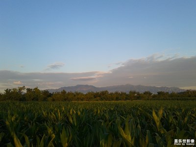 【向往的天空】+蔚州黄梅暮色