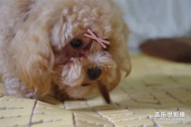 忆我家小泡饭往昔。