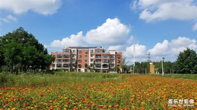 【向往的天空】+骑行白云村