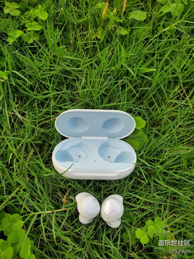 galaxy buds(外观) galaxy buds(外观)