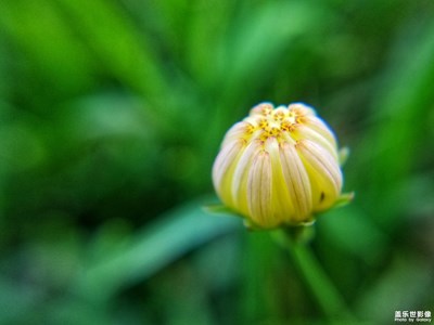 晨