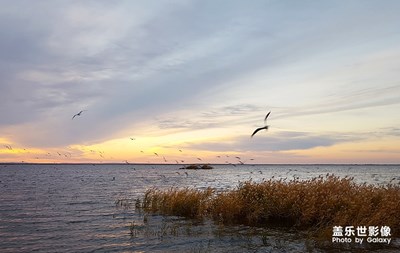 居延海观日出