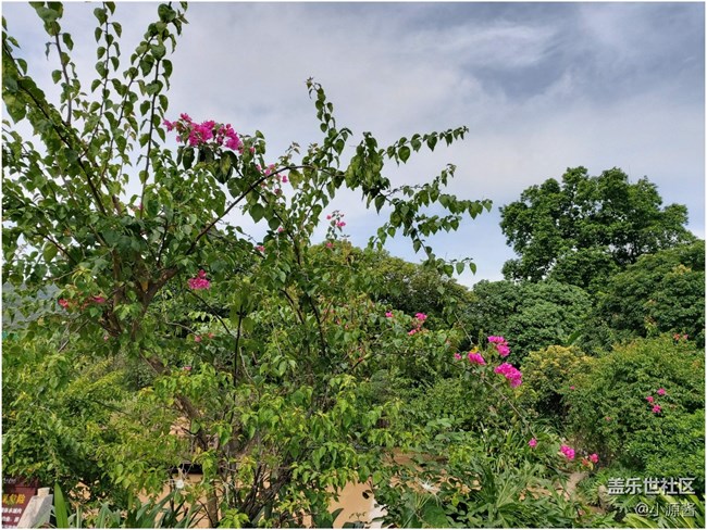 【Galaxy A80星粉体验活动】升降翻转三摄之A80快速体验