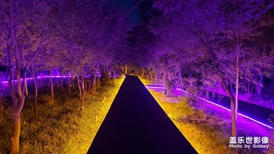 夜景随拍