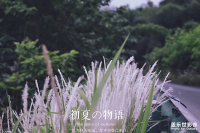 【回首寻美之路】+奇妙世界物语