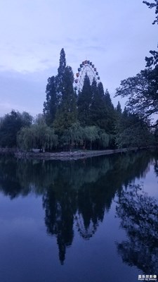 夜幕下的摩天轮
