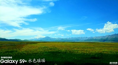 西海草原