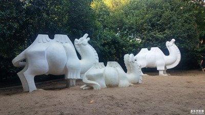 沙漠之舟