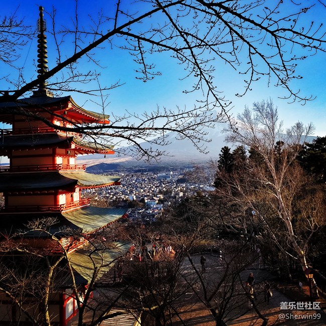 【Bixby游记】樱花季富士山之美